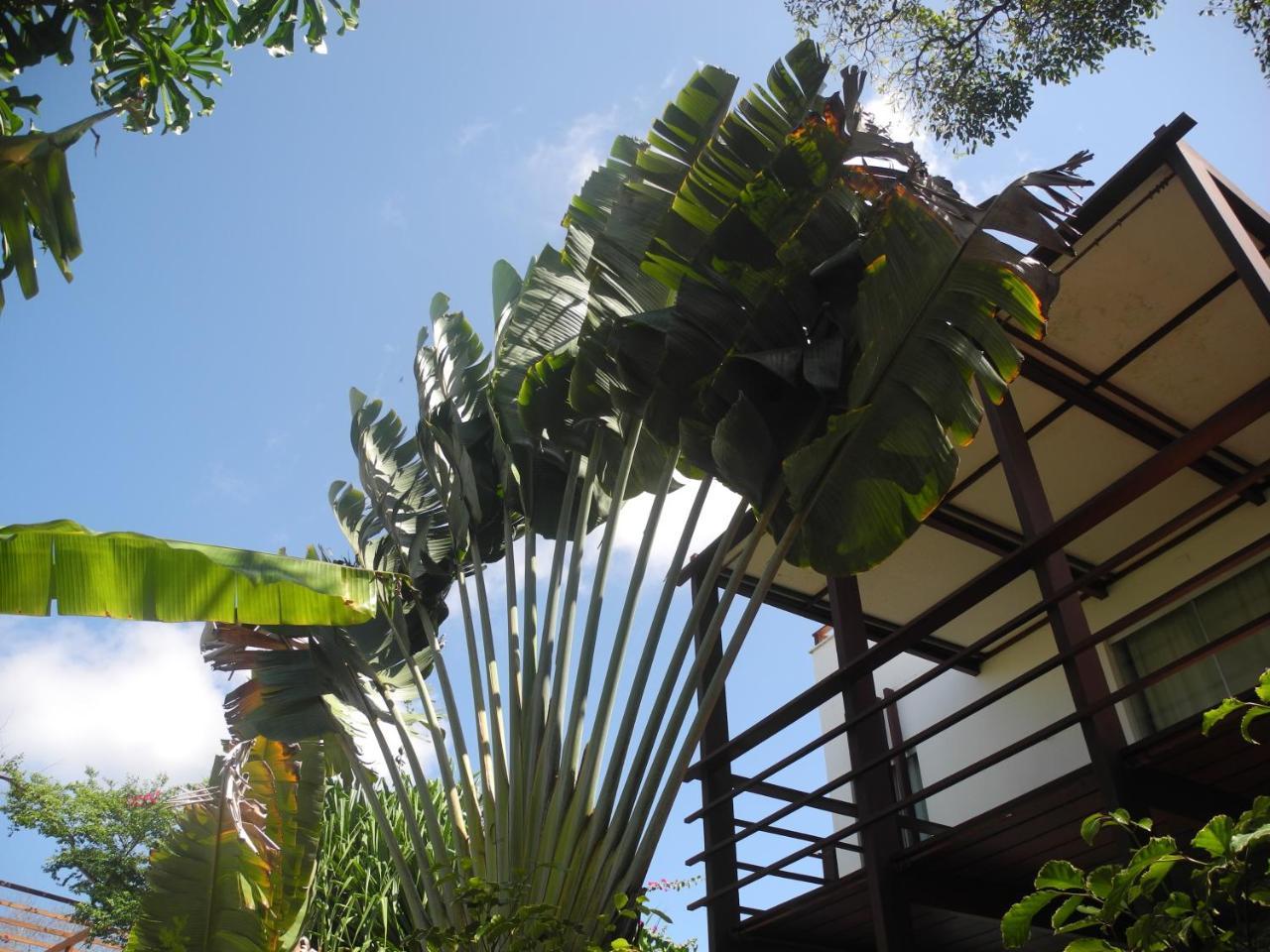 La Réserve Design Villas Praia de Pipa Esterno foto